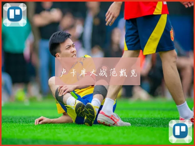 卢卡库大战范戴克
