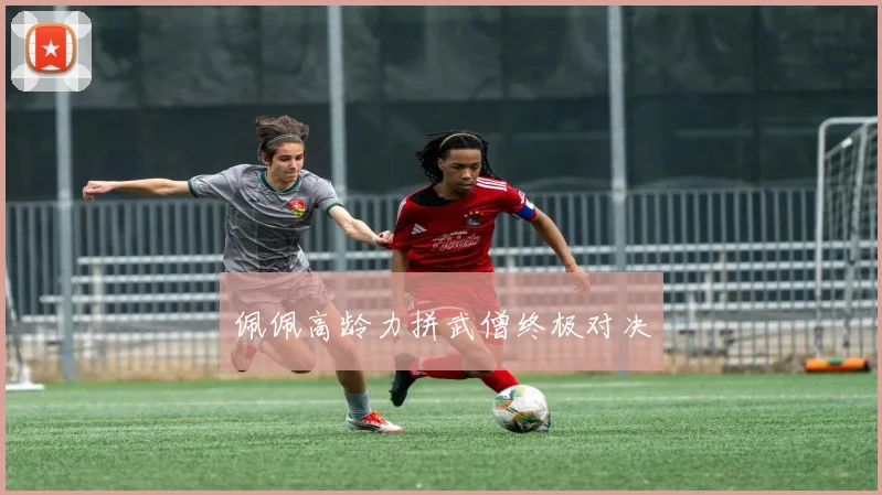 佩佩高龄力拼武僧终极对决