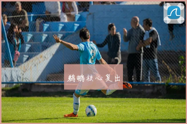 鹈鹕核心复出
