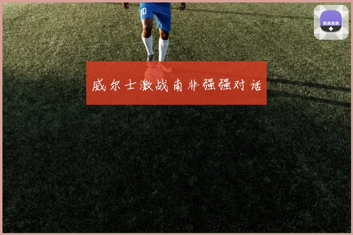 威尔士激战南非强强对话
