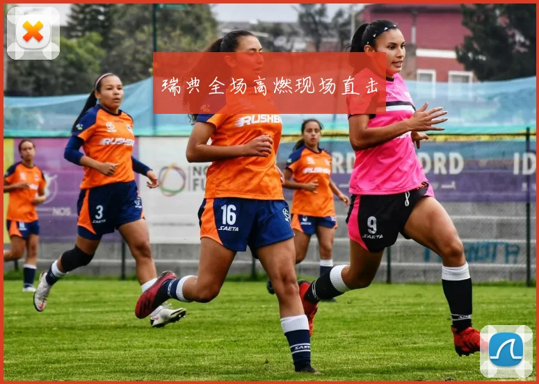 瑞典全场高燃现场直击