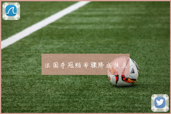 法国夺冠赔率骤降成焦点