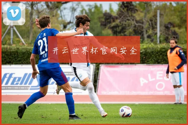 开云世界杯官网安全