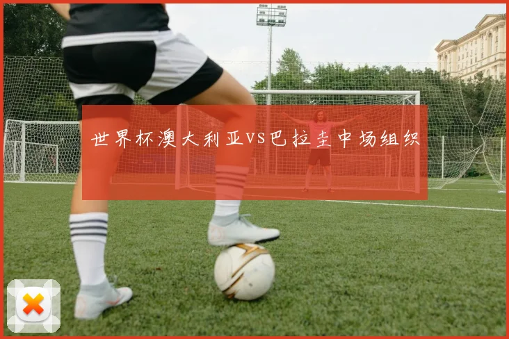世界杯澳大利亚vs巴拉圭中场组织