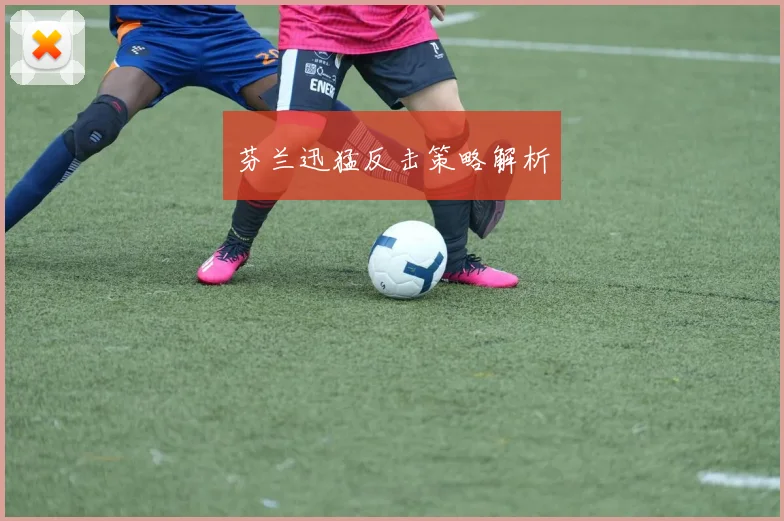芬兰迅猛反击策略解析