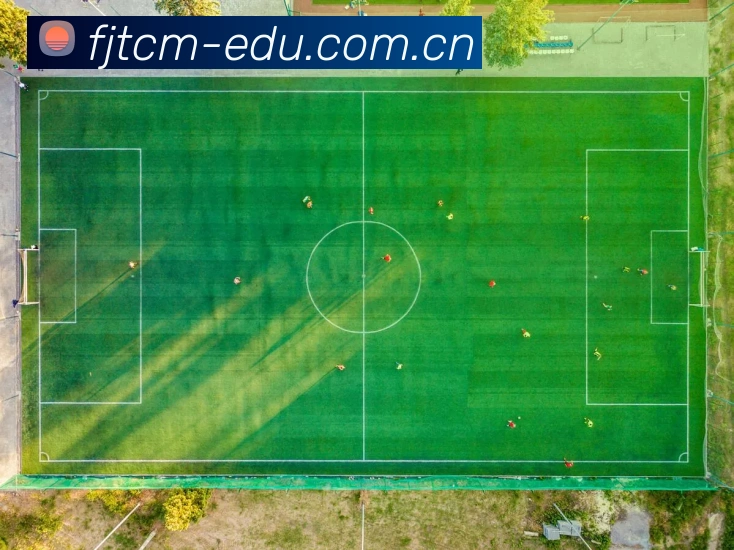 韦德(WEIDE)电子综合app-韦德世界杯（中国）体育赛事直播