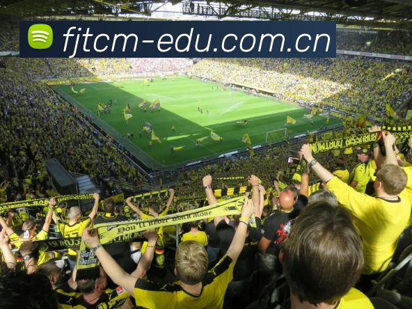 韦德(WEIDE)电子综合app-韦德世界杯（中国）数据分析