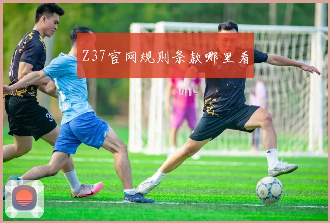 Z37官网规则条款哪里看