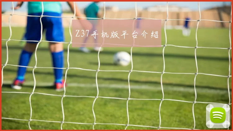 Z37手机版平台介绍