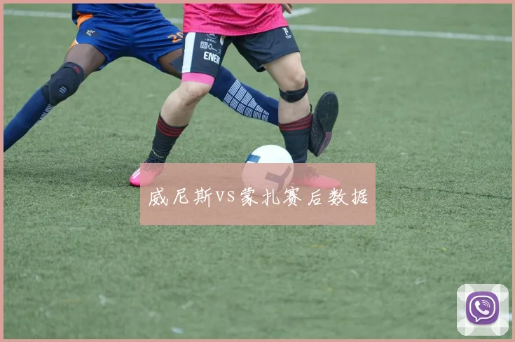 威尼斯vs蒙扎赛后数据