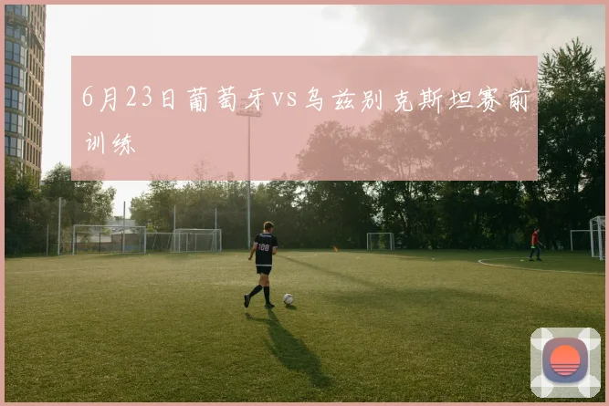 6月23日葡萄牙vs乌兹别克斯坦赛前训练