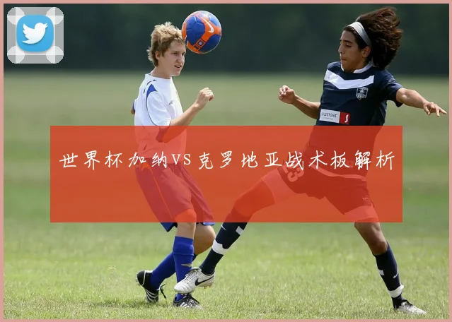 世界杯加纳vs克罗地亚战术板解析