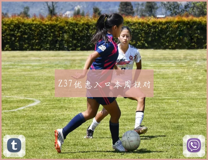 Z37优惠入口本周核对